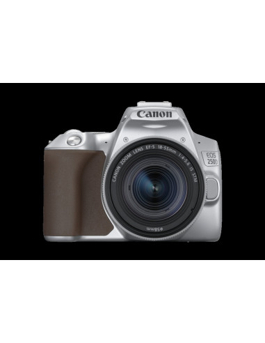 CANON EOS 250D  EFS 1855 IS STM SILVER